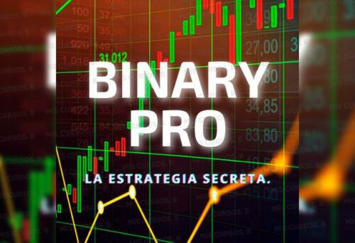 Binary PRO  de Julián benavides