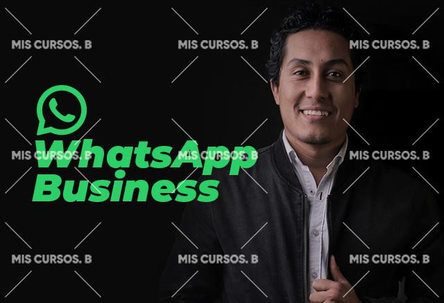 whatsapp business de diego vallejos 629c8f18d59ba - WhatsApp Business de Diego Vallejos