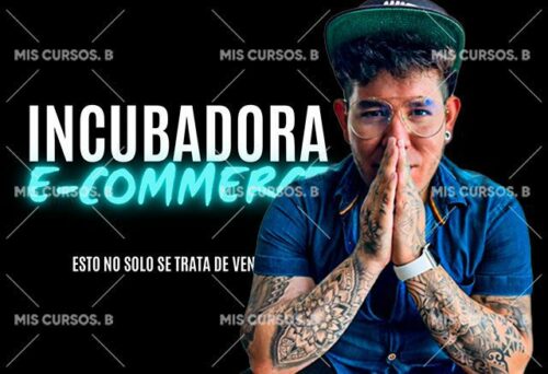 Incubadora E-Commerce de Fabian Hernandez
