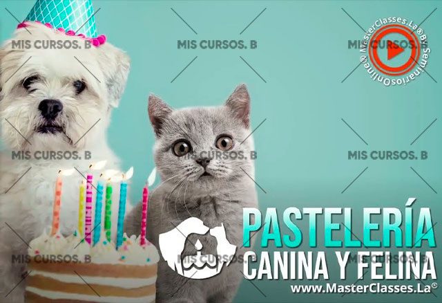 pasteleria canina y felina 62fe1ff586f79 - Pastelería Canina y Felina